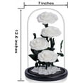 thumbnail image 2 of 4 Preserved Flowers in Glass Dome - Roses Gift for Her - Birthday Flowers for Women, White, 2 of 5