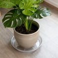 thumbnail image 6 of Better Homes & Gardens 16" Clear Recycled PET Round Saucer for Indoor and Outdoor Garden Use, 6 of 6