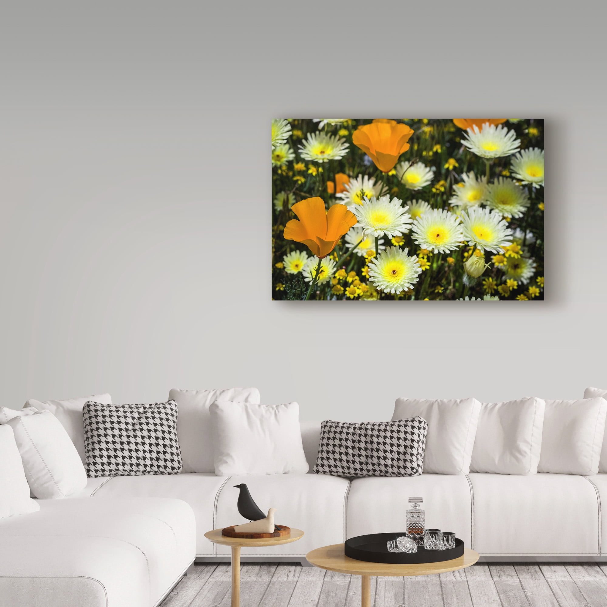 Trademark Fine Art 'Poppies And Daisies' Canvas Art by Janice Sullivan