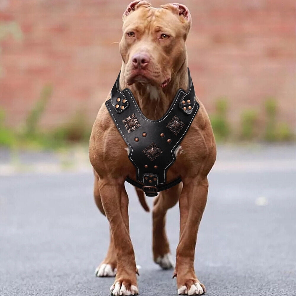 Pet Artist Heavy Duty Retro Rivet Spiked Studded Dog Harness No Pull Genuine Leather Vest for Medium Large Breeds Pitbull Mastiff