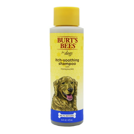 Burts bees dog itch soothing shampoo, 16-oz