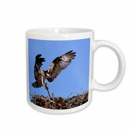 

3dRose Florida Sanibel Island Osprey birds nest - US10 CSL0164 - Charles Sleicher Ceramic Mug 15-ounce