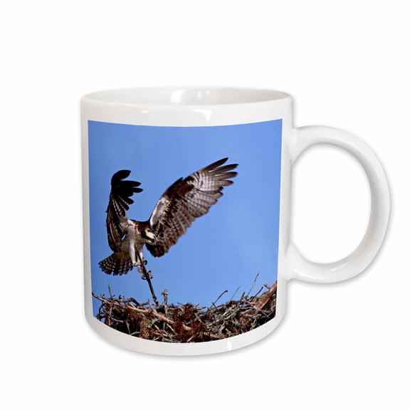 3drose, Florida, Sanibel Island, Osprey Birds Nest - Us10 Csl0164 - Charles Sleicher, 15oz Mug