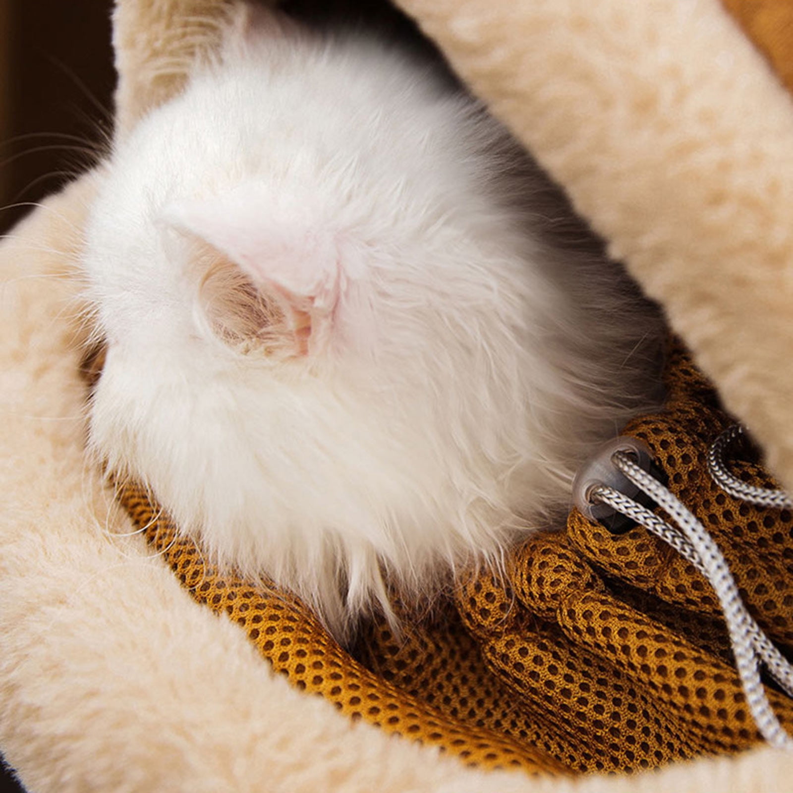Small Furry Carriers Outdoor Cage Backpacks Bag Cats Dog Winter Travel Accessories