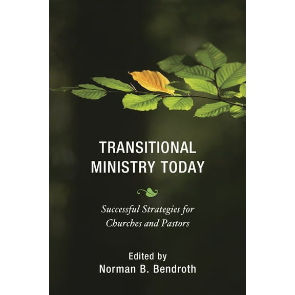 Transitional Ministry Today: Successful Strategies for Churches and Pastors, (Paperback)