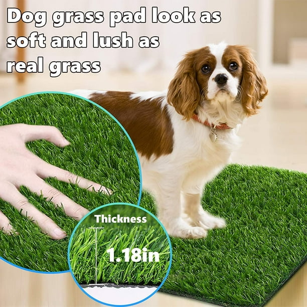 Fake hotsell grass pad