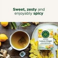 Traditional Medicinals Tea, Organic Lemon Ginger, Promotes Healthy