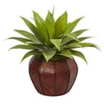 thumbnail image 1 of Agave Succulent en Tissage Planteur, 1 of 1