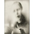 thumbnail image 2 of Claes, Gilbert 12x14 White Modern Wood Framed Museum Art Print Titled - Malicious Bird, 2 of 4