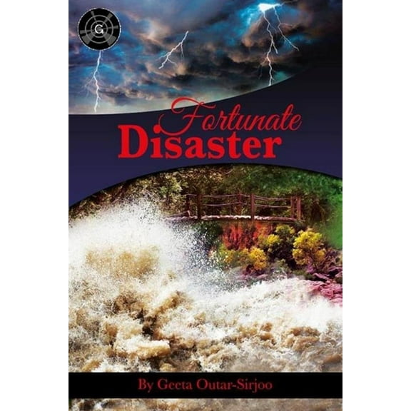A Fortunate Disaster (Paperback)
