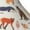 2 Black-1, variant on South American Animals Print Adult Socks for Men & Women,Calf Socks, Ankle Socks,Boots Socks,Breathable Casual Sock,Unisex Crew Socks