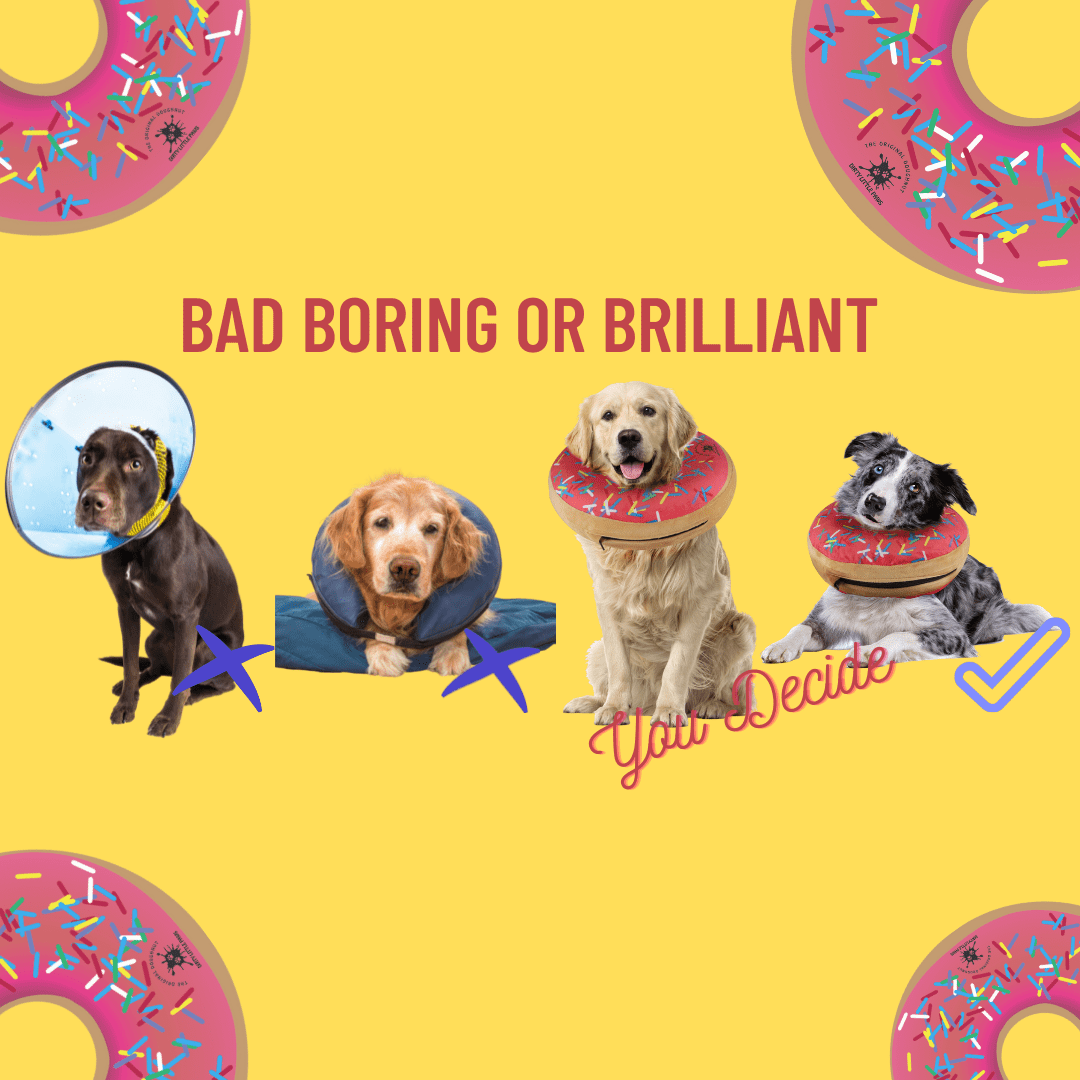 Dog Donut Collar | Great Alternative to a Traditional Dog Cone or a Soft Dog Cone Collar | Our Inflatable Dog Cone is an Excellent Cone for Dogs after Surgery | Dog Cones for Medium Dogs (Pink)
