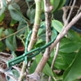 thumbnail image 3 of 4x30 Uds 16,5 Cm Bridas De Plástico Para Cables Clips De Jardinería Bridas Para Plantas Verde, 3 of 8