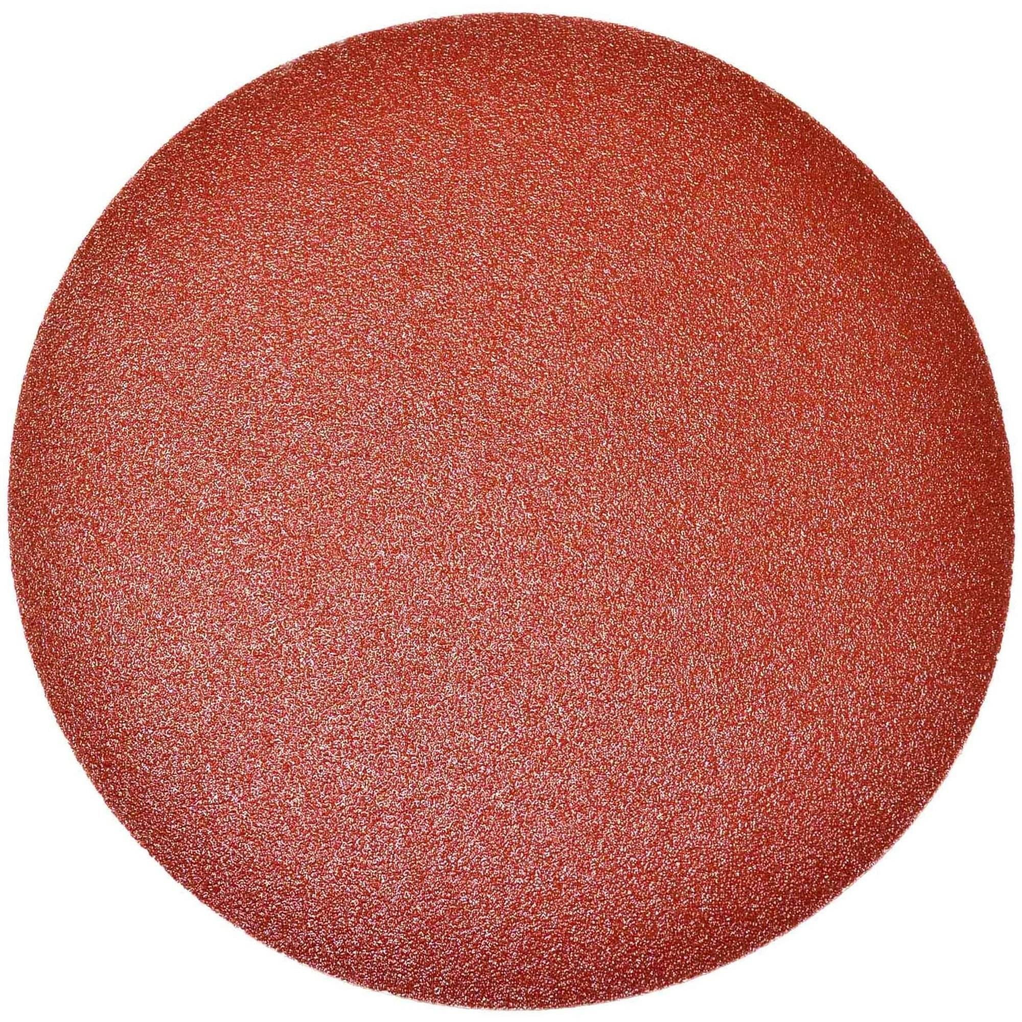 ALEKO 60 Grit Lot of 10 Sandpaper Discs, 6" Diameter