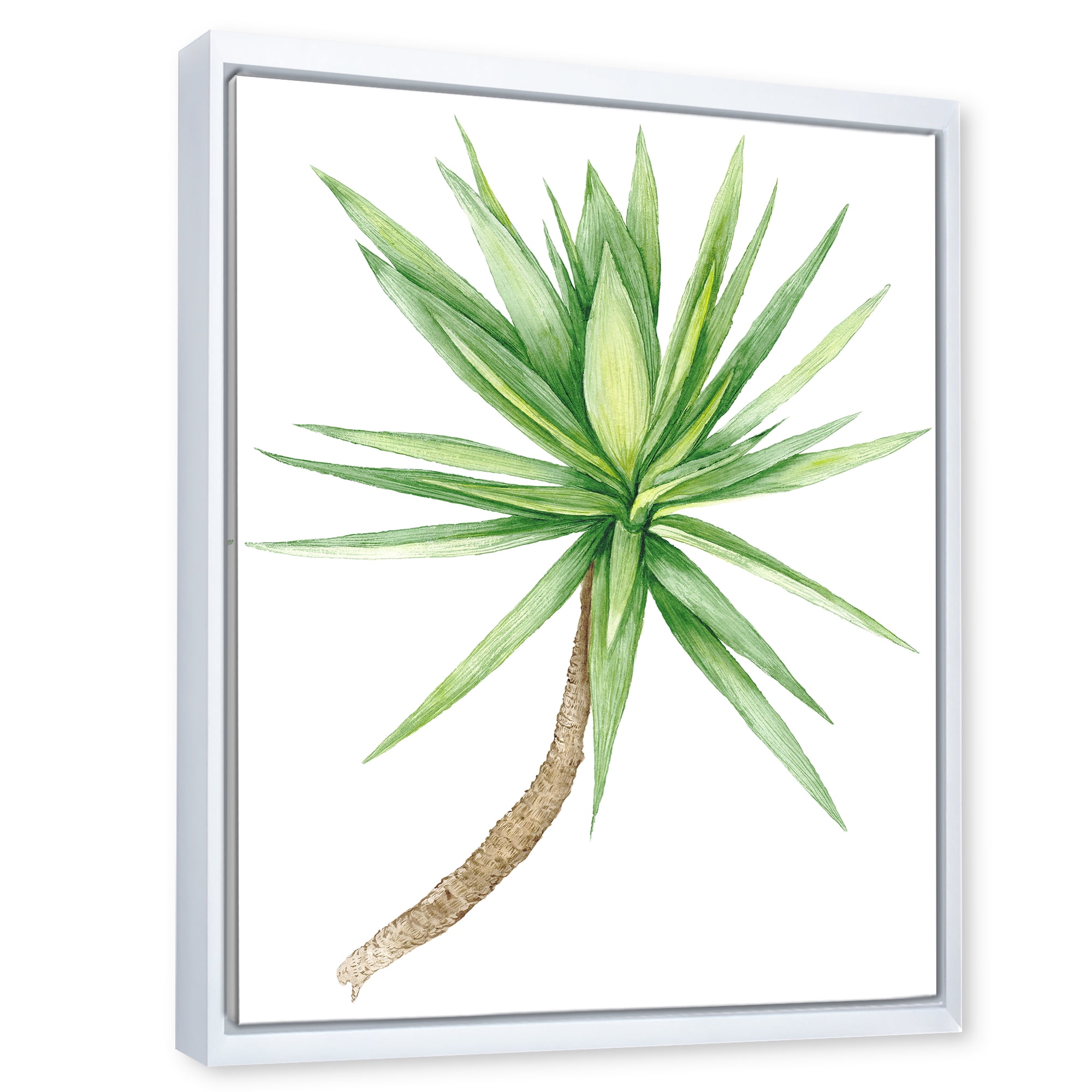 Designart 'Close Up Of Yucca Tree' Traditional Framed Canvas Wall Art Print
