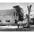 thumbnail image 2 of African Americans Preparing Cotton For The Gin On Smith'S Plantation History (36 x 24), 2 of 2
