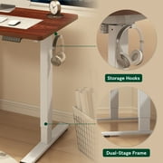 FLEXISPOT 55x28 Home Office Height Adjustable Standing Desk with Hooks, Ergonomic Electric 2-Stage Stand Up Computer Desk, White and Mahogany