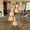 C, variant on Partheme Cylinder Hurricane Glass Candle Holder for Table Centerpieces, Clear Votive Candle Holders for Wedding Parties, Decorative Candleholders for Home Dining Room Decorations, B
