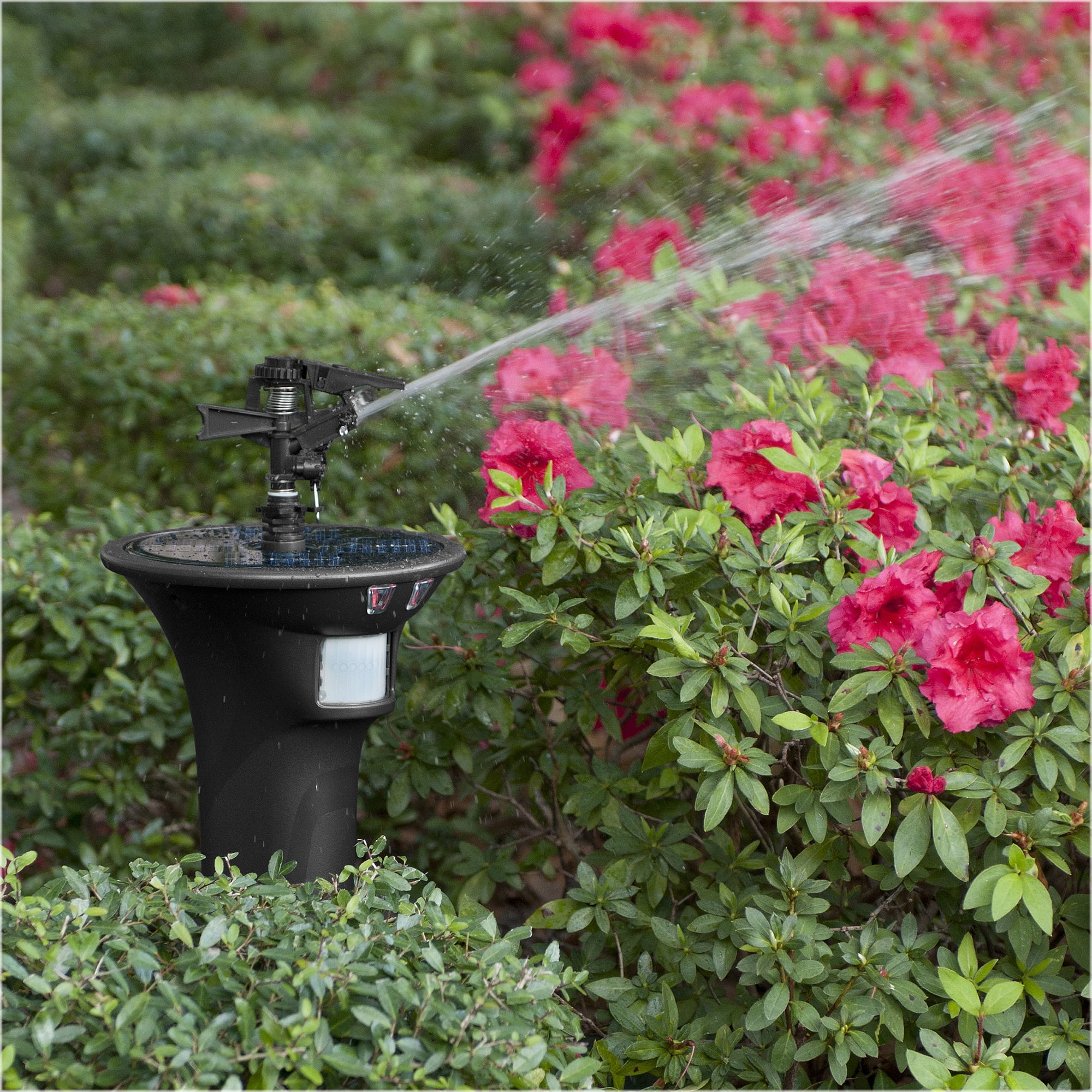Havahart Spray Away Elite Ii Hose Free Motion Activated Sprinkler Animal Repellent Walmart Com Walmart Com Havahart Spray Away Elite Ii Hose Free Motion Activated Sprinkler Animal Repellent Walmart Com Walmart Com