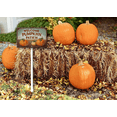 thumbnail image 3 of Eveokoki Welcome To Pumpkin Patch Decorations Yard Sign Decorative Garden Stakes Aluminum Outdoor Lawn Signs for Halloween Party Yard Lawn Garden Decorations, 3 of 4