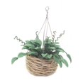 thumbnail image 3 of 2 Piezas 1:12 Plantas de Casa de Muñecas en Miniatura Planta de Bonsái en Miniatura Casa de Muñecas Árbol de Navidad Mini Casa de Muñecas en Maceta Modelo de Maceta Colgante 2.5*6.5cm Verde, 3 of 5