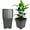 Black, variant on LABLT 5/10PCS Re-usable Square Nursery Pot 10 Gallon Plastic Grow Pots Plant Black