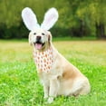 thumbnail image 2 of Easter Dog Bandana, Multiple Sizes Offered, Reversible Festival Pet Bandana Triangle Dog Scarf for Large X-Large Dogs Pets (X-Large, Easter), 2 of 6