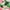 Pink Green, variant on GRACE & GRANDEUR Women's Plus Size Short Sleeves Square Neck Smocked Boho Floral Maxi Dresses 1X Yellow