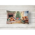 thumbnail image 2 of Nova Scotia Duck Tolling Retriever Cozy Christmas Throw Pillow, 2 of 4