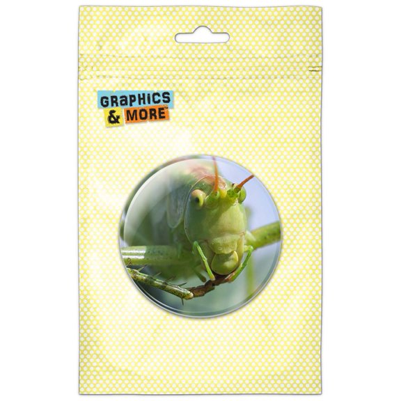 Grasshopper on Leaf Pinback Button Pin Badge