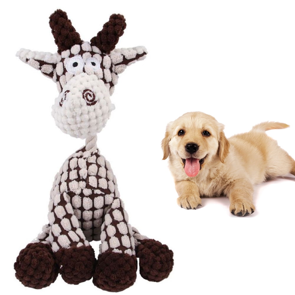 Can You Wash Dog Toys With Squeakers In Them