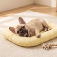 thumbnail image 2 of Pet Bed Mat, Dog Cat Sleeping Pad, Soft Fuzzy Cozy Pet Cushion for Crate Kennel Sofa Floor, Polyester Breathable Pet Mattress for Small Medium Large Animals, All-Season Indoor Use,Machine Washable, 2 of 7