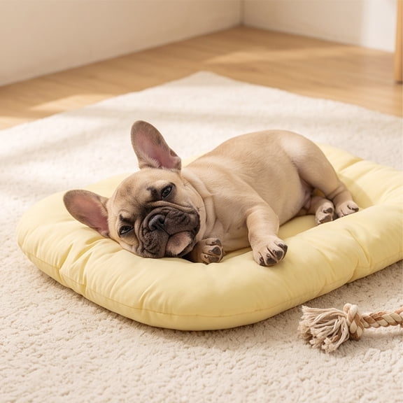 Dog Bed Mat, Cat Crate Pad with Non-Slip Bottom, Washable Soft Pet Kennel Beds for Small Medium Large Dogs (Yellow, 20"x15", M)