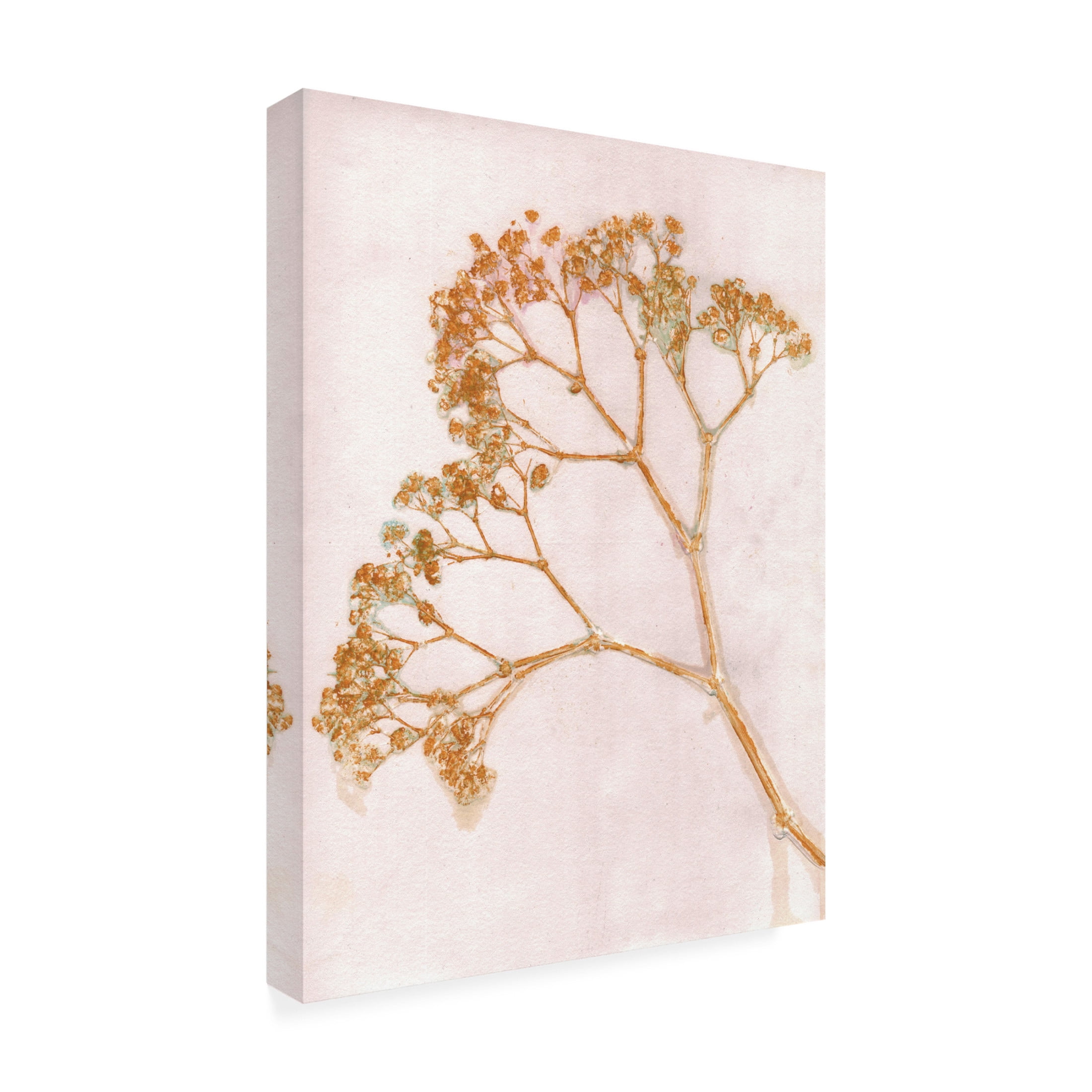 Canvas Wall Art - Pernille Folcarelli 'Gypso Ochre' Wall Art for Living Room, Bedroom, or Office Décor by Trademark Fine Art - 14 x 19 Inches