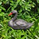 thumbnail image 3 of Ornamento Realista Del Espantapájaros De Scarer Del ín De La Yarda Del Control De Parásito Del Control De Parásito Del Cisne Baoblaze Cisne Artificial Decoy, 3 of 8