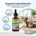 thumbnail image 4 of POLHIDE Calming Oil Dog and Cat Calming Supplement, L-Theanine 30 mg & Melatonin 1 mg Liquid Drops, 2 fl oz / 60 mL, Chicken Flavor, 4 of 9