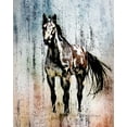 thumbnail image 2 of Murdock, Ramona 12x14 White Modern Wood Framed Museum Art Print Titled - The Mustang King, 2 of 4