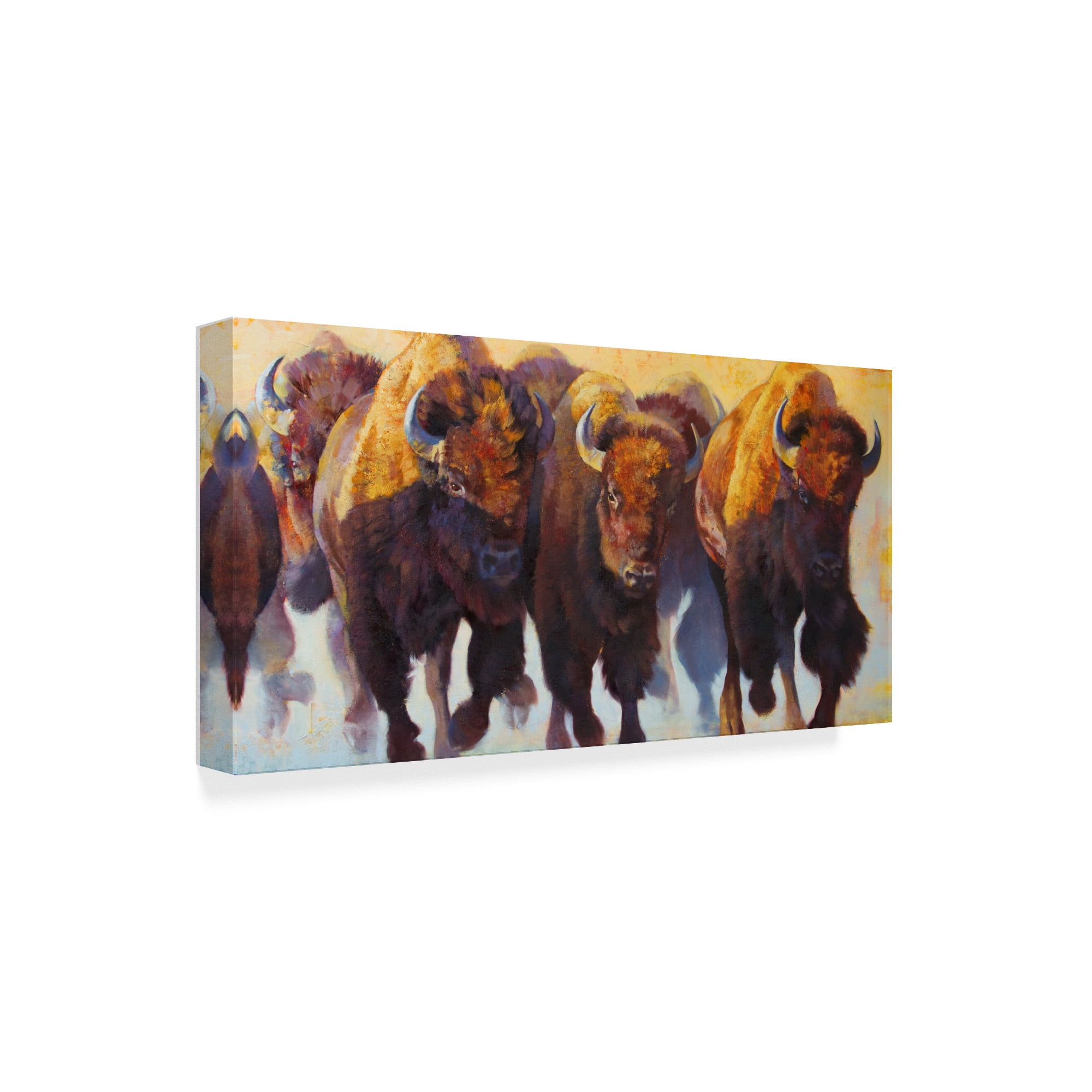 Trademark Fine Art 'Wall of Thunder' Canvas Art by Julie T. Chapman