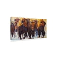 thumbnail image 2 of Trademark Fine Art 'Wall of Thunder' Canvas Art by Julie T. Chapman, 2 of 4