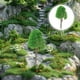 thumbnail image 5 of PTOOTP 20 piezas 1:150 Árboles Modelo Tren Paisaje Escala N (Verde), 5 of 7