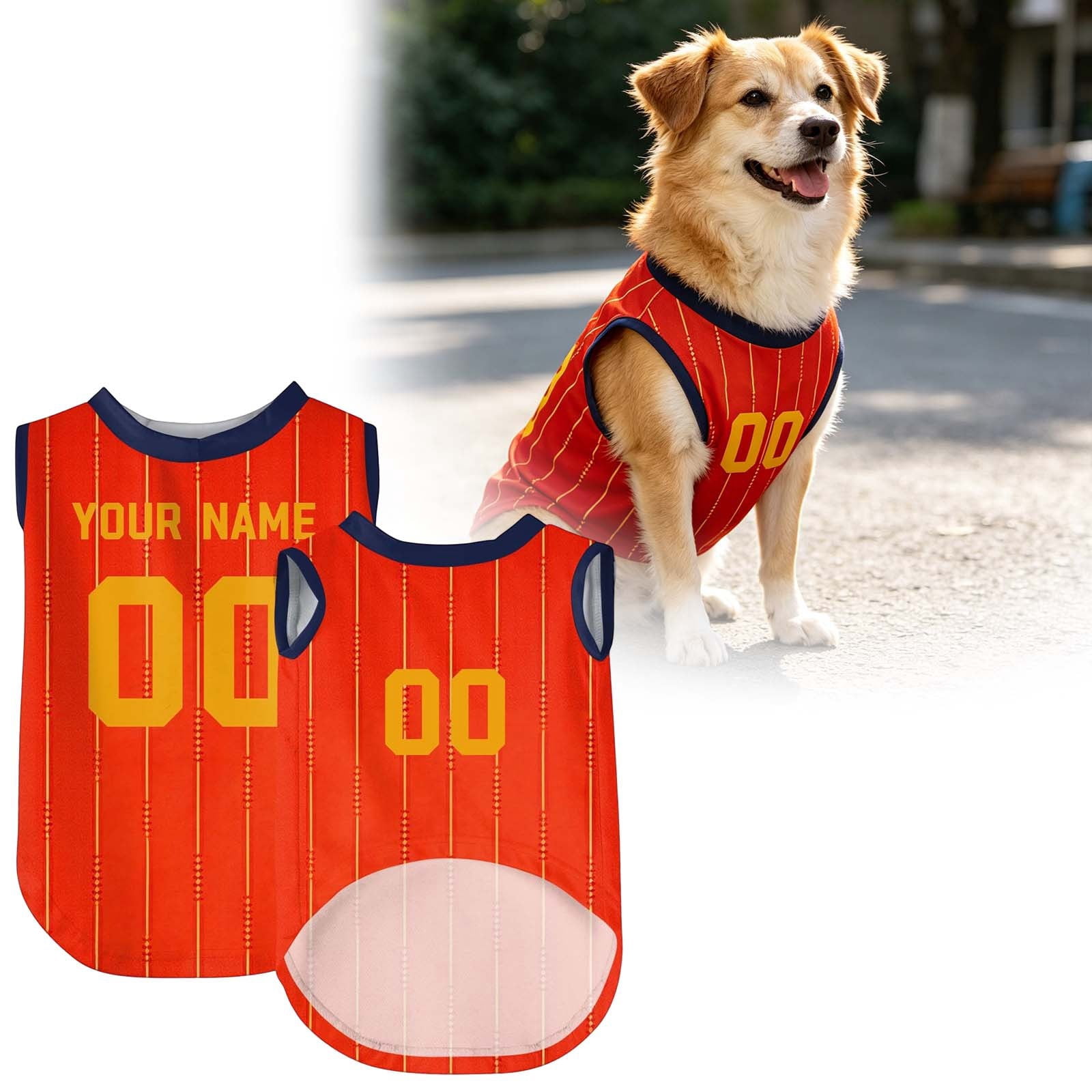 Custom Cat Vest Harness for Small Medium Large Breathable Adjustable Comfort Fit for Indoor Outdoor Use Pet Apparel