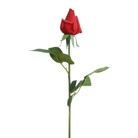 https://i5.walmartimages.com/asr/292cc9dc-8199-43a6-ac03-d305fa80bbff.6f5b2ce7950f12fba8d3638c12536a0e.jpeg?odnHeight=450&odnWidth=450&odnBg=ffffff