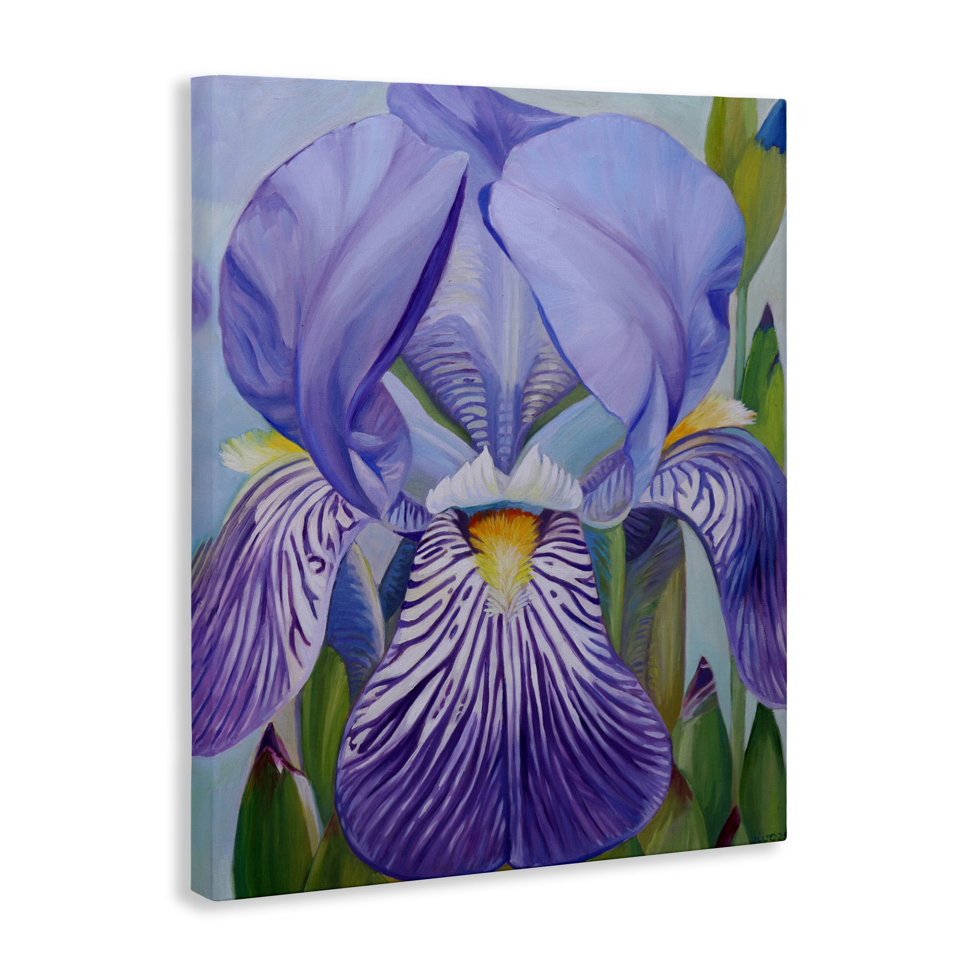 Stupell Industries Blooming Purple Iris Petals Canvas Wall Art, design by Violeta Vollmer