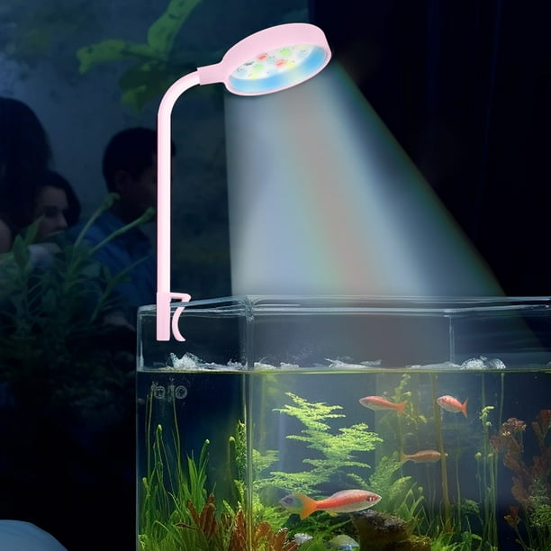 Luz LED para acuario | Foco RGB sumergible de colores para pecera | Cuentas LED azules, rosas y verdes | Decoración impermeable para jaulas de reptiles y pecera