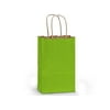 2 Unit Rose Apple Green 100% Recycled Kraft Mini Pk 5x3x8" Unit pack 25
