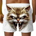 thumbnail image 4 of BRGZLK Mens Beach Shorts Summer Drawstring Waist Funny Cat Expression Print Summer Swim Trunks Novelty Beachwear Sports Vacation Shorts with Pockets, 4 of 6