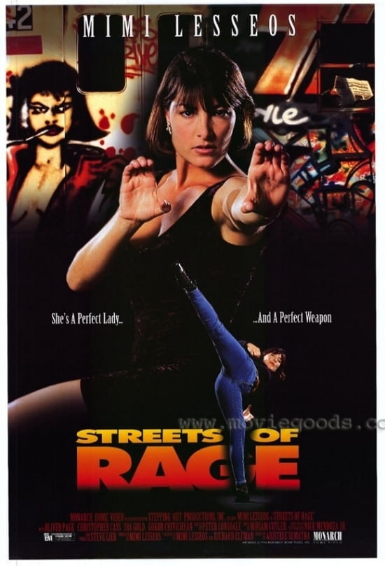 Streets of Rage Movie Poster (11 x 17)