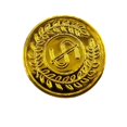 thumbnail image 2 of Monedas de oro de piratas de moda Accesorios de piratas Monedas de oro del tesoro de actividades Juguetes para niños Monedas de oro de piratas de plástico, 2 of 5