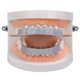 thumbnail image 5 of Cristal chapado en oro de 18 3A Zircon Grills 8 dientes Boca Caps Joker Up Bottom Plata jinwen Tapas de boca y dientes, 5 of 8