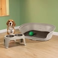 thumbnail image 1 of Combo Kit Mascota Cama Plástica Confortable Ideal razas Medianas  Comedero Alto 2 tazones Ergonómico RIMAX, 1 of 10